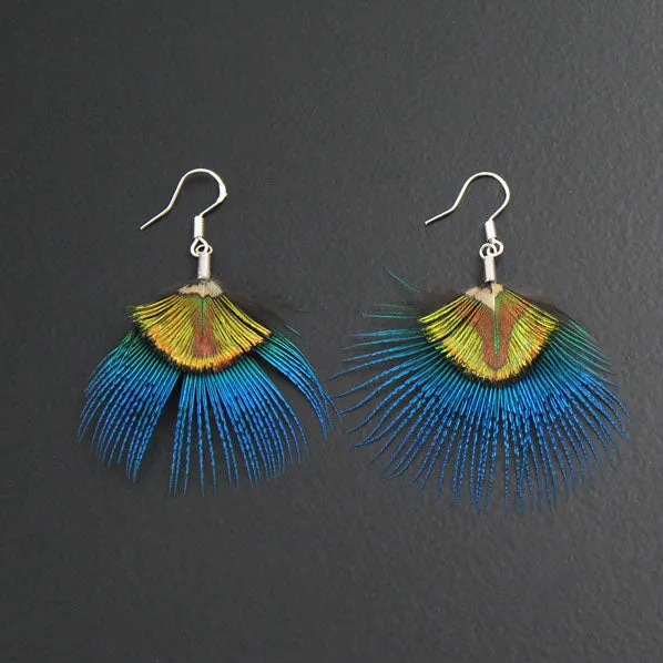 Peacock Feather Earrings with Sterling Silver Earwire